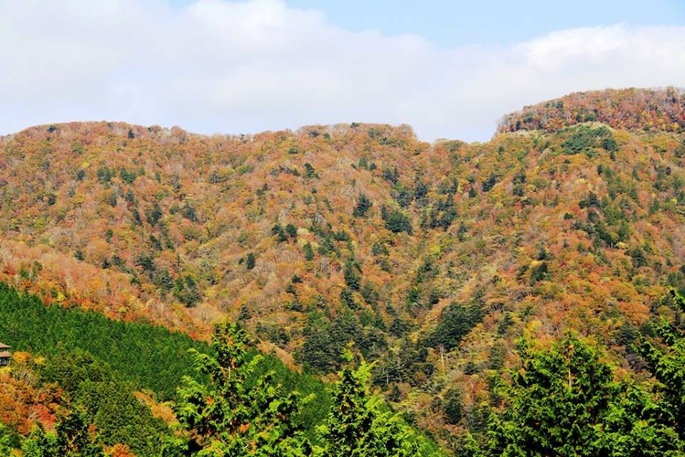 美人日記 龍神温泉 季楽里龍神 公式ホームページ 高野龍神スカイラインの紅葉